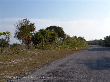 2004 Cuba, Maria la Gorda - Cayo Levisa, DSC00584 B_B720